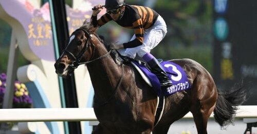 【スポーツ紙企画当選品】キタサンブラック 天皇賞春 レースパネル スポーツ紙企画当選品】キタサンブラック 天皇賞春 レースパネル