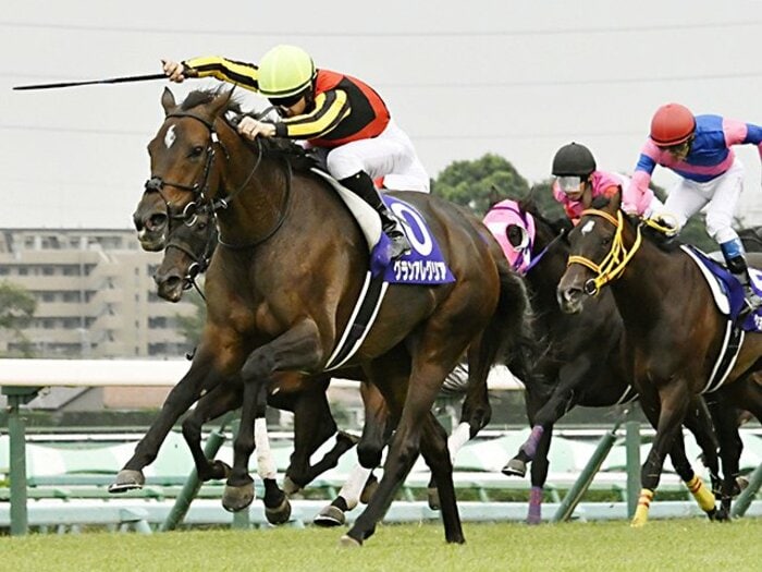 グランアレグリア、絶望的位置から豪脚を見せて快勝！ 秋は「天高く馬肥ゆる馬券」が吉!?＜Number Web＞ photograph by Kyodo News
