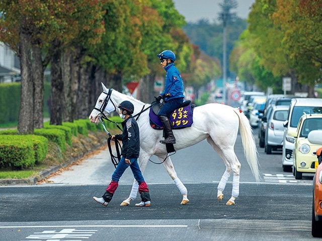 ソダシの気性は「ゴールドシップより荒いかも」…じつは気難しい“純白の