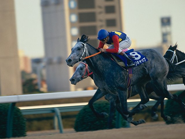 秘話〉有馬出走直前「おい、お前オグリキャップやからな」 武豊の一喝が“芦毛のアイドル”を伝説の名馬にした - 競馬 - Number Web -  ナンバー