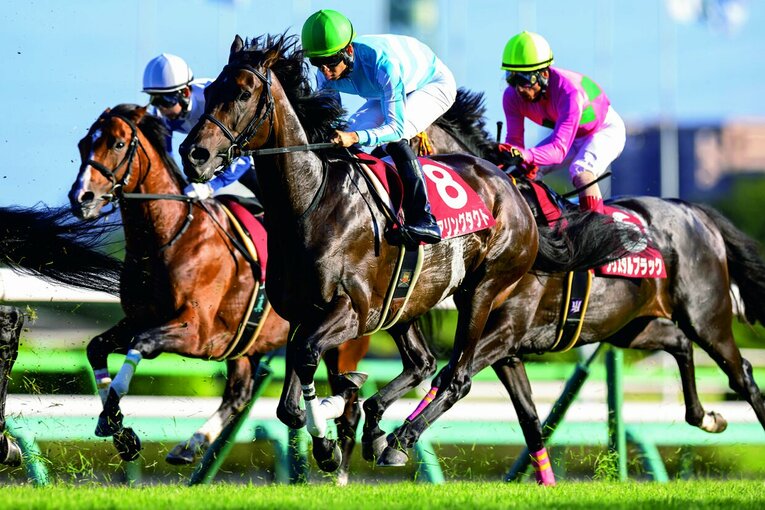 前哨戦のオールカマーで6着に敗れたデアリングタクト。三冠牝馬の完全復活を多くのファンが心待ちにしている　©Photostud