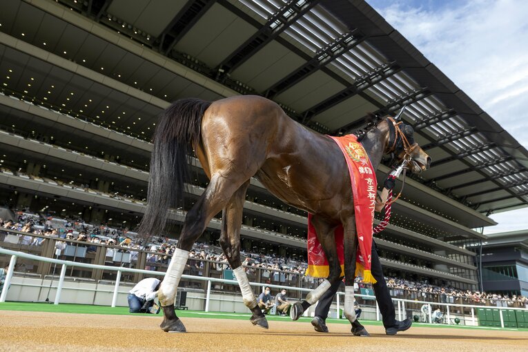 京王杯スプリングカップ優勝時のメイケイエール　©Photostud