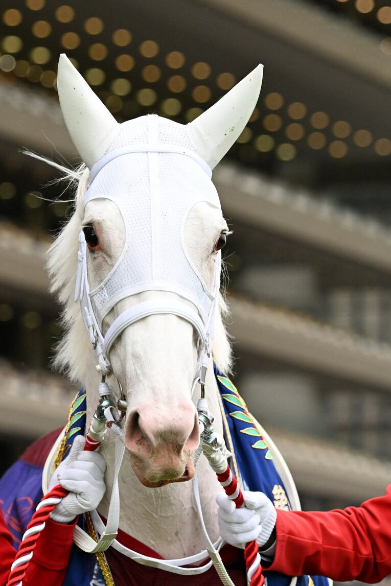 ソダシvsスターズオンアースは競馬史に残るレースとなるか？「ウオッカとダイワスカーレット」以来の“名牝ライバル誕生”を期待してしまう理由(27)