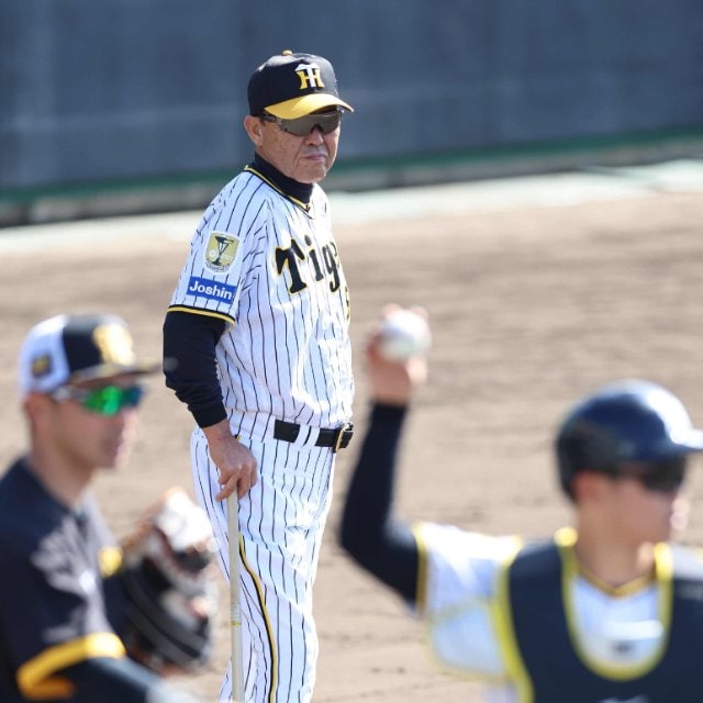 名作 推し活チケット特典 中野拓夢・木浪聖也 スポーツ選手 - www 