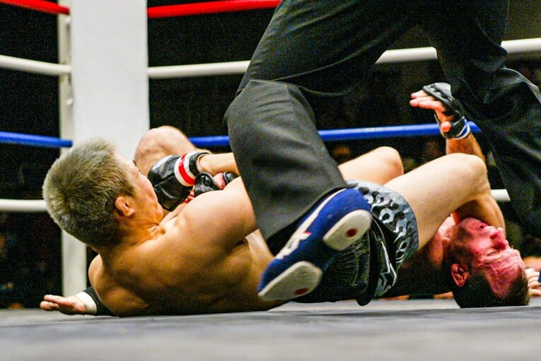 2003年2月、ニック・アートルに腕ひしぎ十字固めで一本勝ち