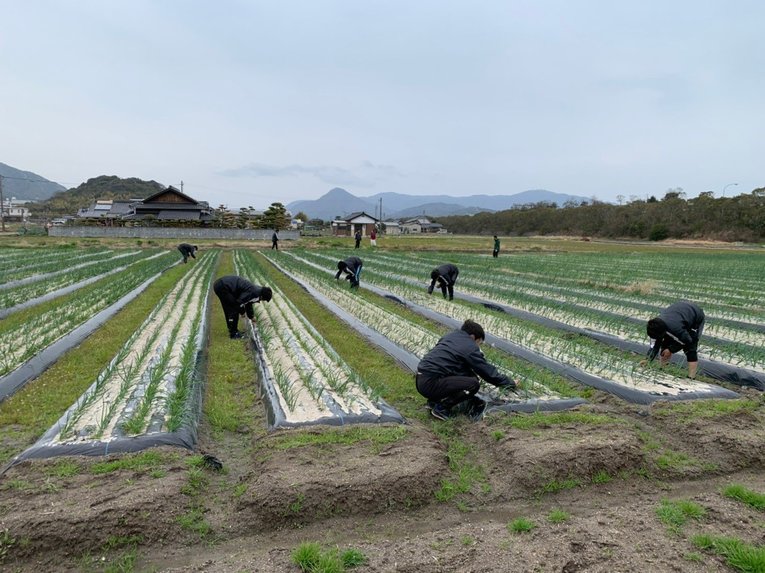 農業部の作業シーン　©︎Takagawa Gakuen