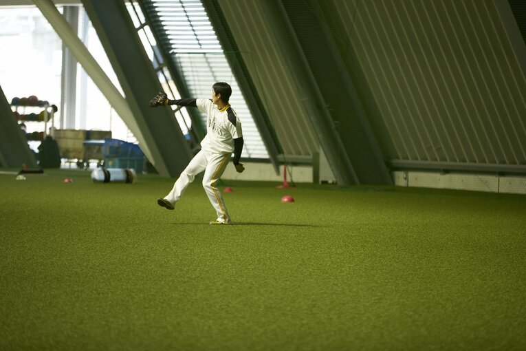 2017年4月　©︎Tadashi Shirasawa