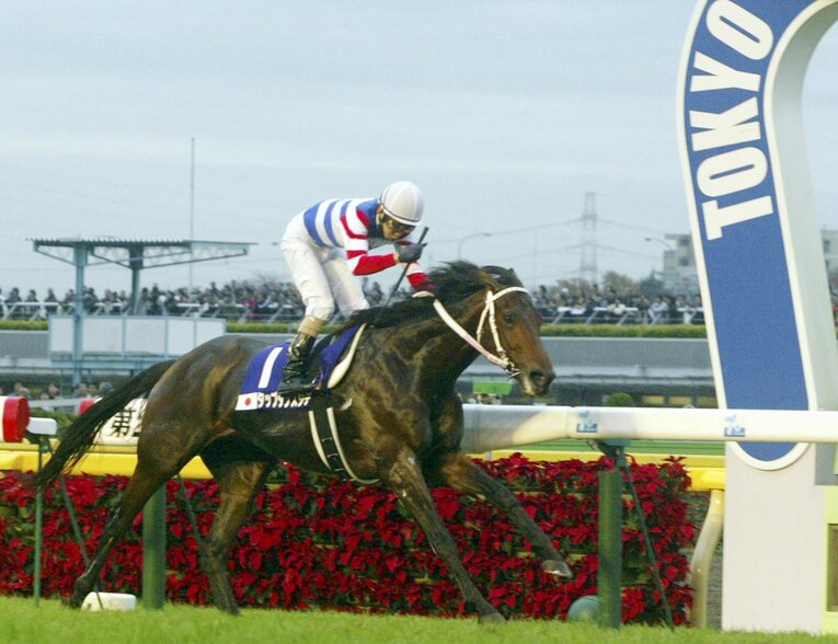 ジャパンCを制したタップダンスシチー　©AFLO