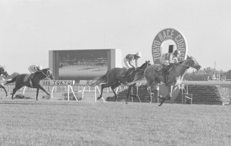1988年の天皇賞・秋。オグリキャップとの「芦毛対決」の第1ラウンドはタマモクロスが勝利した　©JIJI PRESS