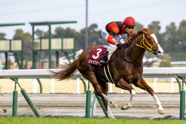 前走の金鯱賞では圧巻の逃げ切り勝ちを収めたジャックドール　©Photostud