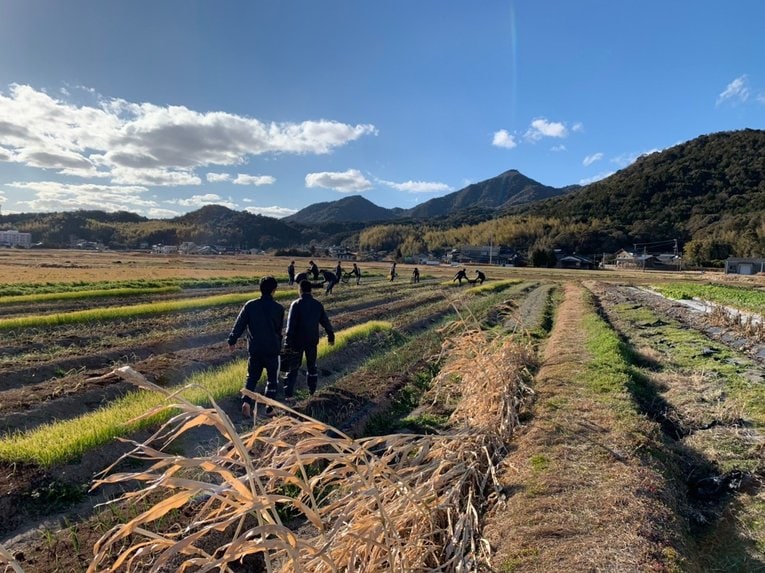 農業部の作業シーン　©︎Takagawa Gakuen