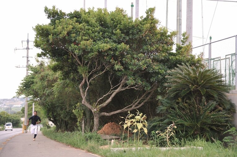 沖縄尚学（2009年撮影）©︎Takuya Sugiyama