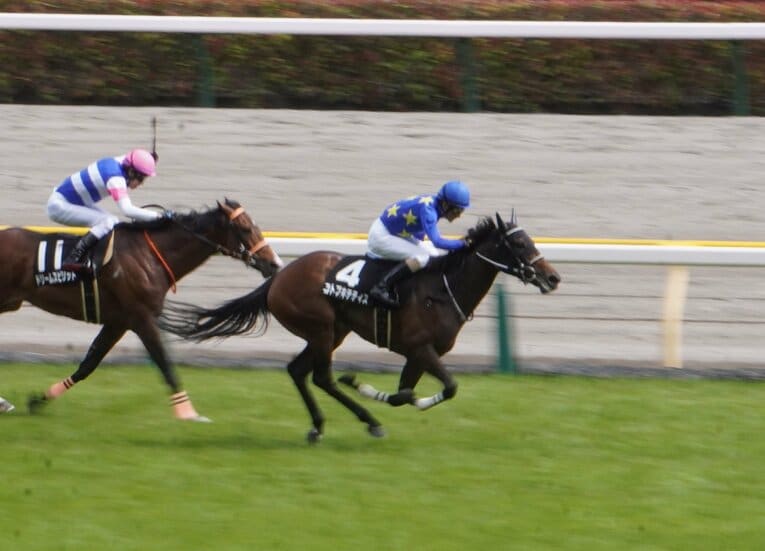 今年のエリザベス女王杯はコトブキテティスで挑戦を予定している柴田善臣　©Satoshi Hiramatsu