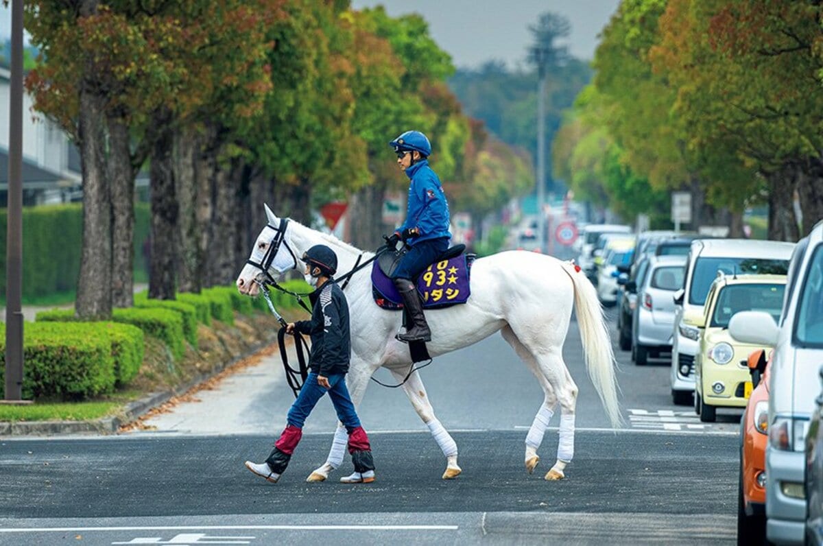 ソダシの気性は「ゴールドシップより荒いかも」…じつは気難しい“純白の