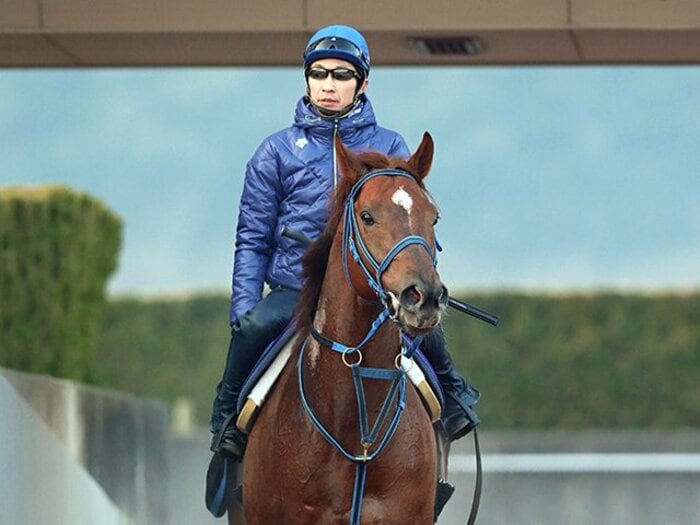 砂のサイレンススズカ、再来なるか？フェブラリーS初の連覇目指す快速馬。＜Number Web＞ photograph by Yuji Takahashi