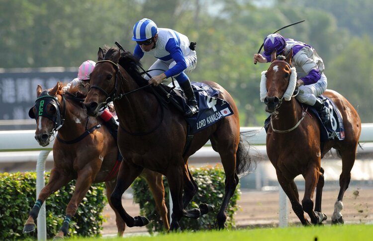 シルクロードS》香港スプリント2連覇に親子制覇…ロードカナロアが遺した“最強スプリンター伝説” 今年の短距離戦線も産駒に注目？ - 競馬 -  Number Web - ナンバー