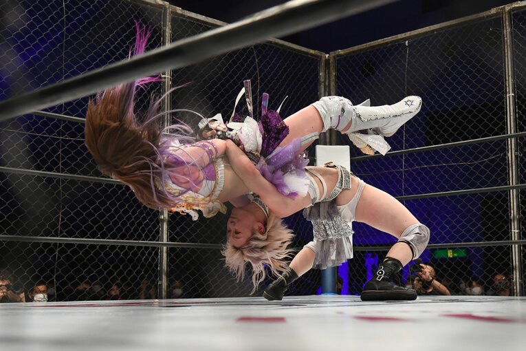 なつぽいのフェアリーストレイン