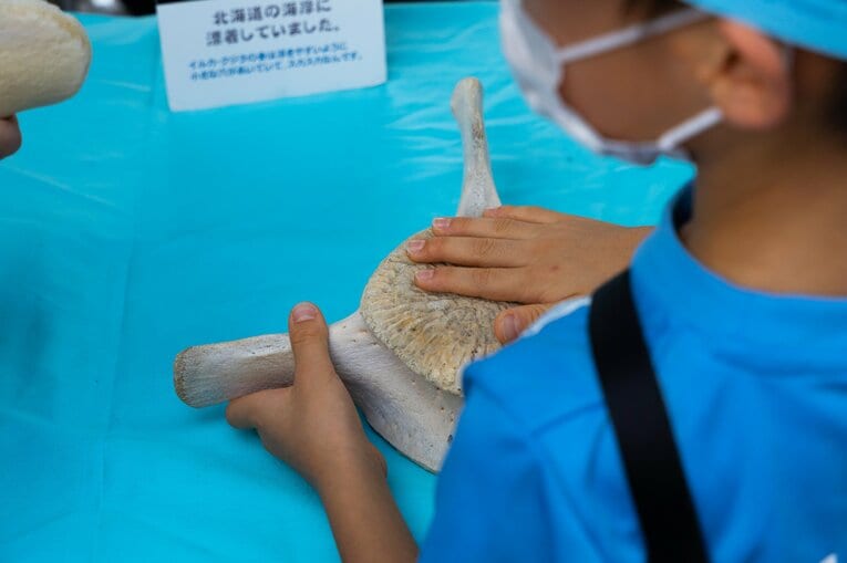 ©︎KAWASAKI FRONTALE