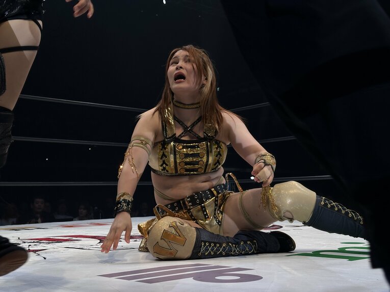 ©Norihiro Hashimoto