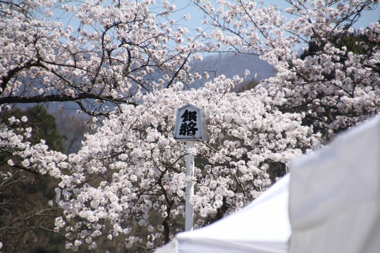 藤井聡太竜王「大変参考になったで“ござる”」初出演した《人間将棋》を現地取材… 観る将マンガ家が超楽しんで描いてみた(76)
