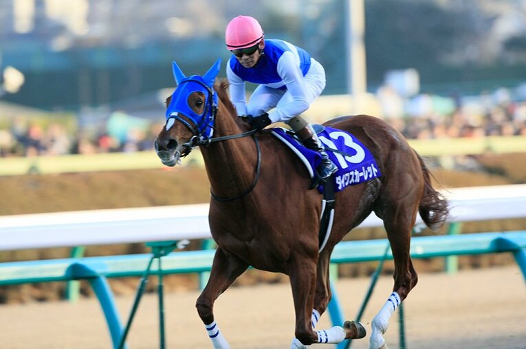 ダイワスカーレット ／ photograph by Tomohiko Hayashi