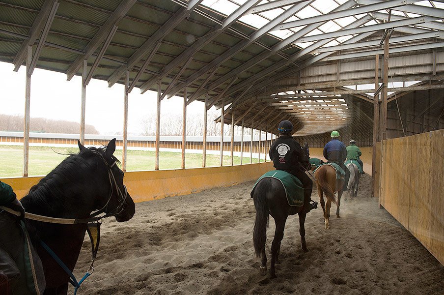競馬界で一人勝ちの超巨大牧場。ノーザンファームの内部に潜入！＜Number Web＞ photograph by Asami Enomoto