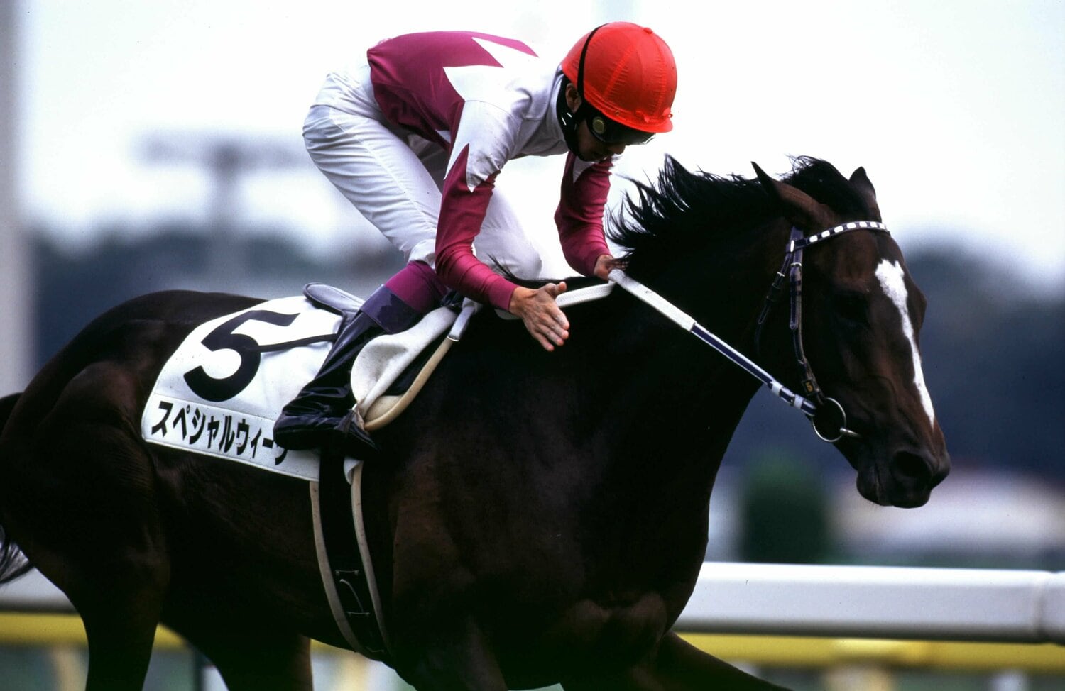 1998年、スペシャルウィークで念願のダービー制覇。以来2022年のドウデュースまで史上最多の6勝をあげている　©BUNGEISHUNJU