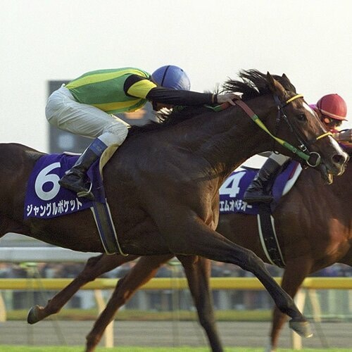 ジャングルポケット ジャパンカップ 2001 現地 単勝 馬券｜Yahoo