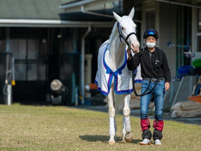 ソダシ＆今浪厩務員コンビは須貝尚介調教師の「配役」だった…吉田隼人＆今浪隆利＆須貝師が振り返る「伝説の白毛馬」に出会うまで＜Number Web＞ photograph by Naoya Sanuki
