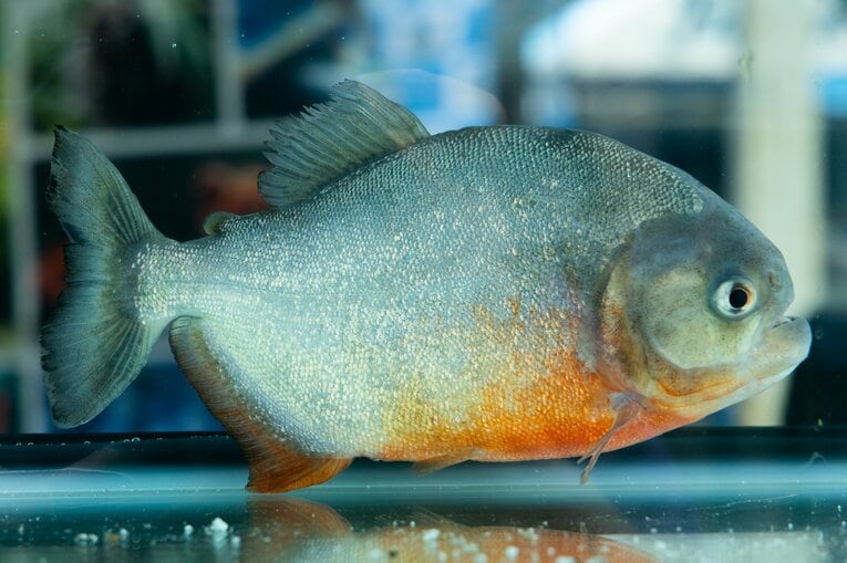 ©︎KAWASAKI FRONTALE