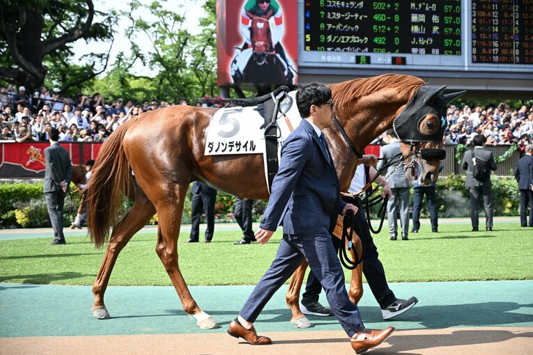 日本ダービーのパドック。ハリのある馬体に仕上がったダノンデサイル　©Keiji Ishikawa