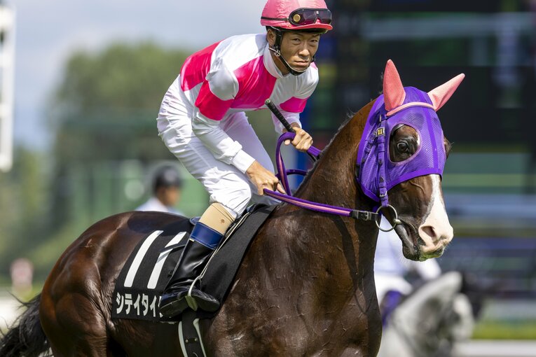 地方競馬（大井）の新馬戦で驚異の末脚を見せ、中央競馬（新潟）のダリア賞に挑戦したシテイタイケツ。鞍上は森泰斗 ／ photograph by photostud