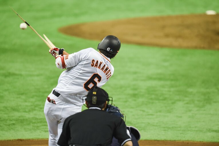 2014年　©Nanae Suzuki