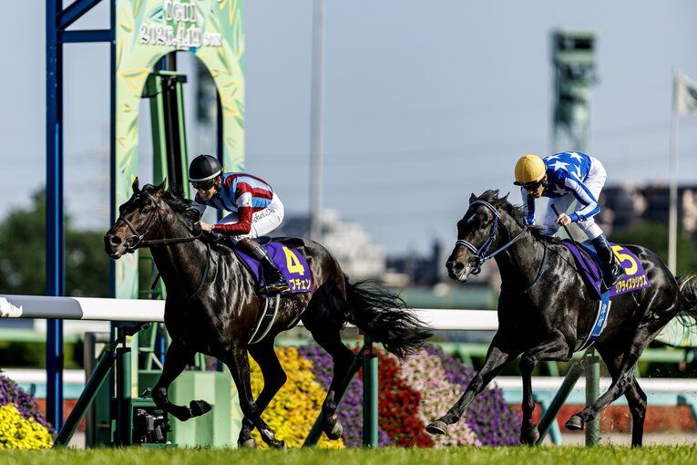 1着でゴール板を駆け抜けたロブチェン　©Kiichi Matsumoto