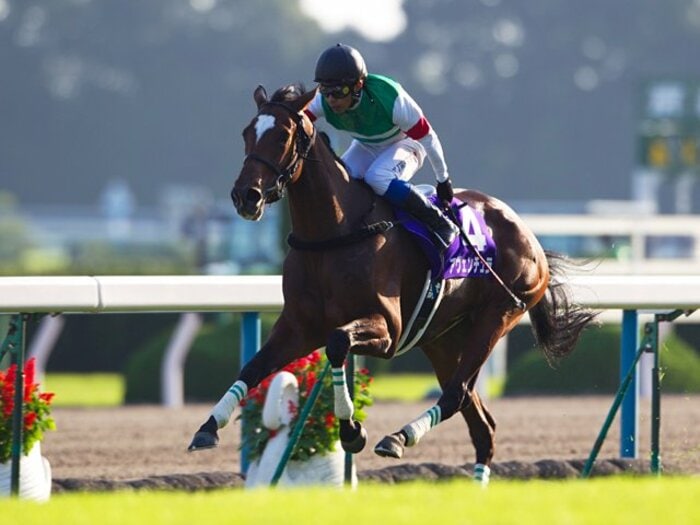 乗り替わりと枠順が明暗を分けた秋華賞。～エ女王杯で池添の雪辱なるか？～＜Number Web＞ photograph by Kiichi Yamamoto