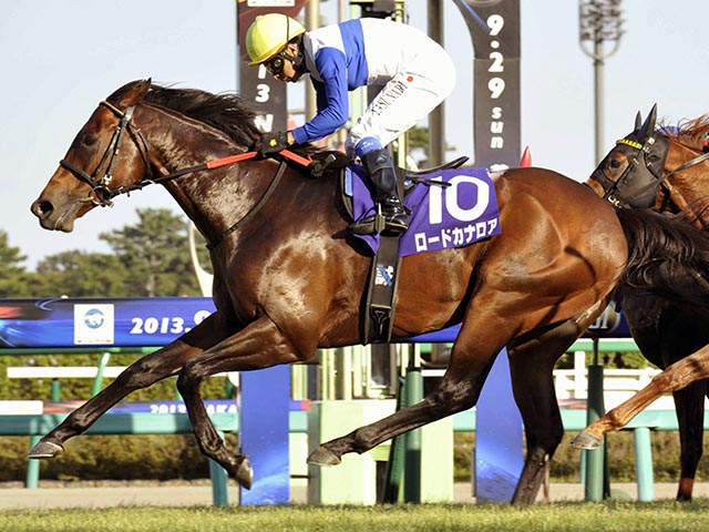 シルクロードS》香港スプリント2連覇に親子制覇…ロードカナロアが遺した“最強スプリンター伝説” 今年の短距離戦線も産駒に注目？ - 競馬 -  Number Web - ナンバー