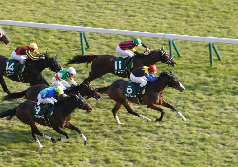 前走は2番人気となり、見事優勝した