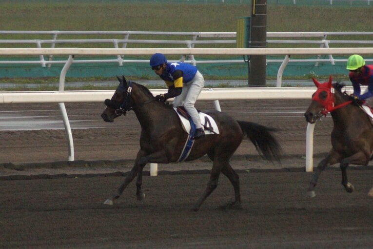 6月16日にデビューを果たしたオマタセシマシタ　提供：ホッカイドウ競馬