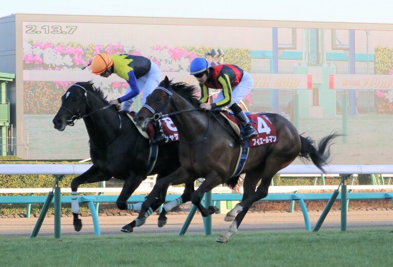 2019年のAJCCを制したシャケトラ　©Satoshi Hiramatsu