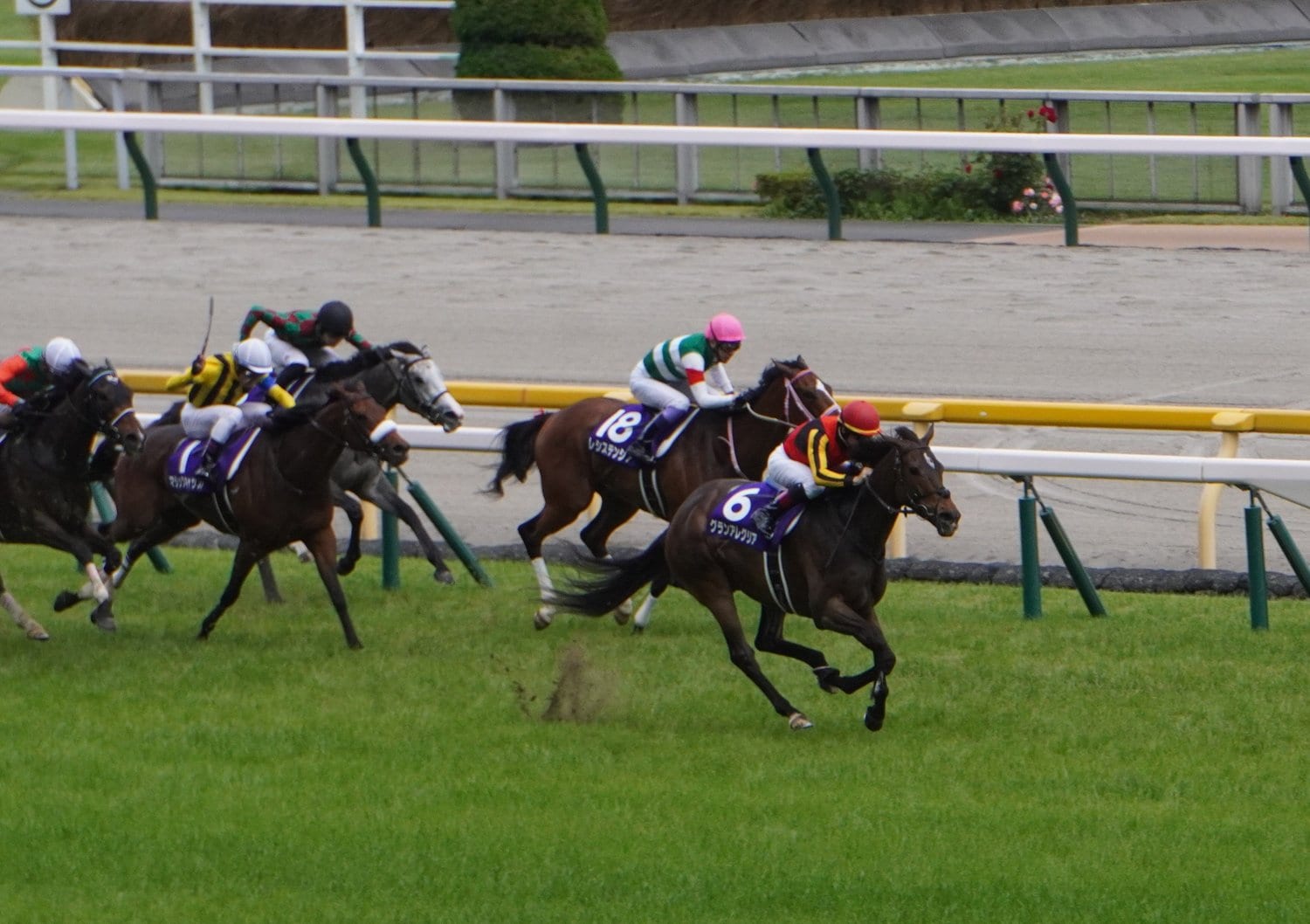 グランアレグリアはヴィクトリアマイルで力の差を示した©Satoshi Hiramatsu