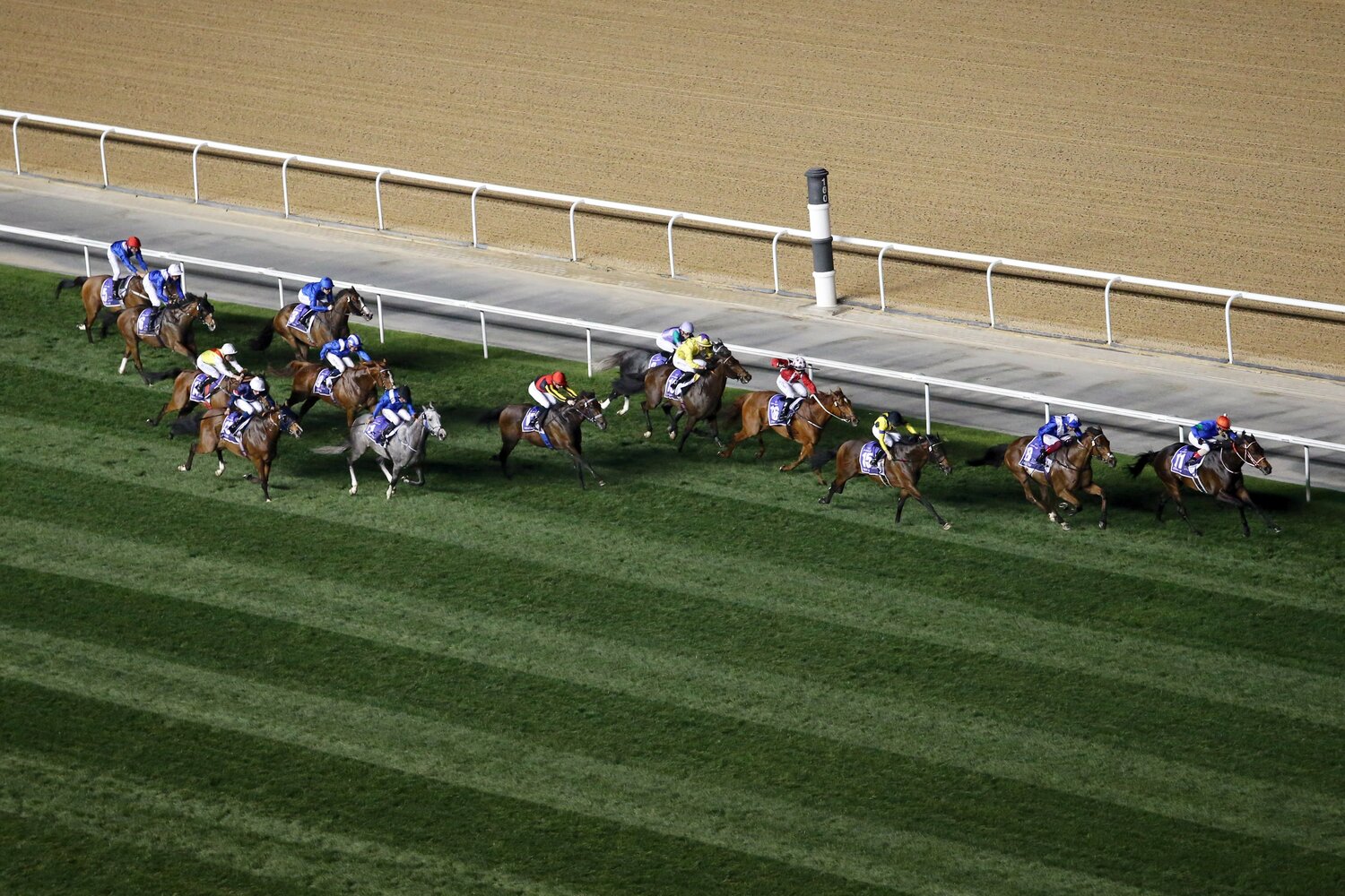 パンサラッサが逃げ切った2022年のドバイターフ（写真右端）©Getty Images