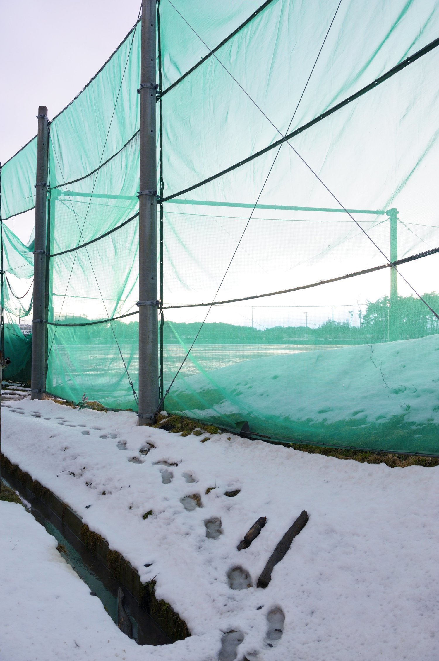 雪が積もった花巻東高、野球部のグラウンド（2010年撮影）　©BUNGEISHUNJU