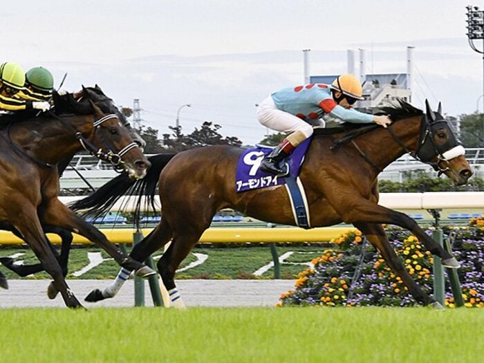 アーモンドアイGI8勝の偉業にルメールが涙したワケ　次はコントレイル＆デアリングタクトと夢対決か＜Number Web＞ photograph by Kyodo News