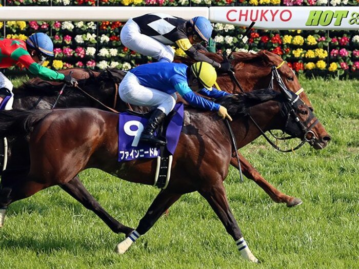 高松宮記念はファインニードル！ゴドルフィンはJRAをも席巻するか。＜Number Web＞ photograph by Yuji Takahashi