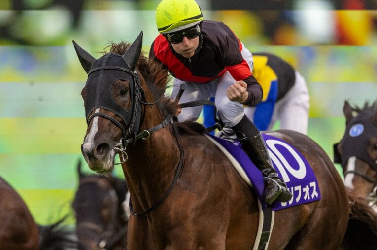 11月20日に行われたGIマイルチャンピオンシップにて圧巻の勝利を収めた3歳馬のセリフォス ／ photograph by Photostud