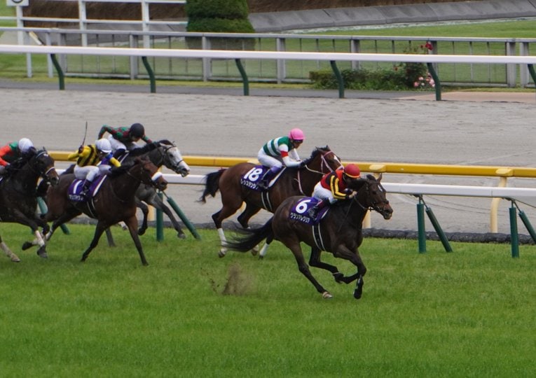 グランアレグリアはヴィクトリアマイルで力の差を示した©Satoshi Hiramatsu