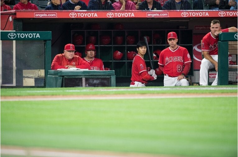 2018年©Nanae Suzuki