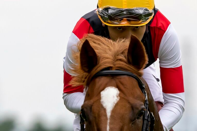 ウインカーネリアン、鞍上は三浦皇成 ／ photograph by photostud