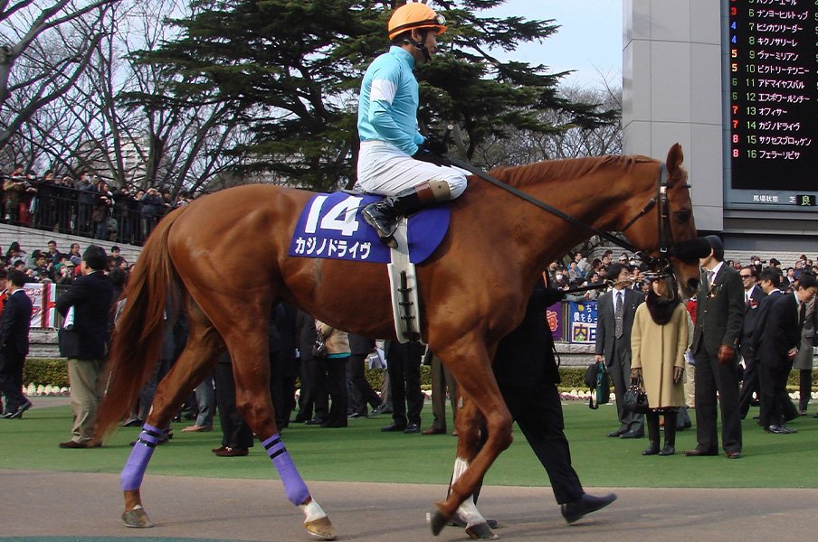 口癖は 目先の一勝より 馬の一生 世界が認めたトレーナー藤沢和雄70歳がカジノドライヴの米gi挑戦をあっさり諦めた理由 競馬 Number Web ナンバー