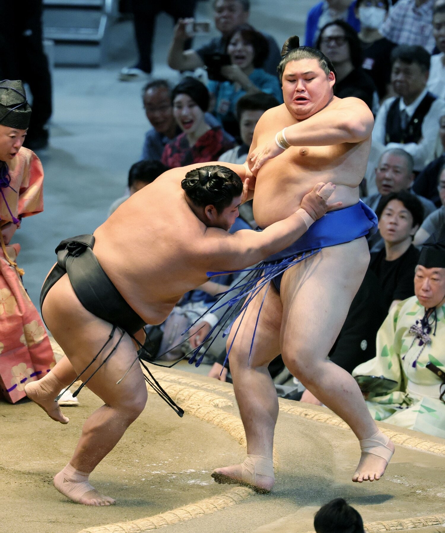8日目、大の里は伯桜鵬に押し出しで敗れる　©JIJI PRESS